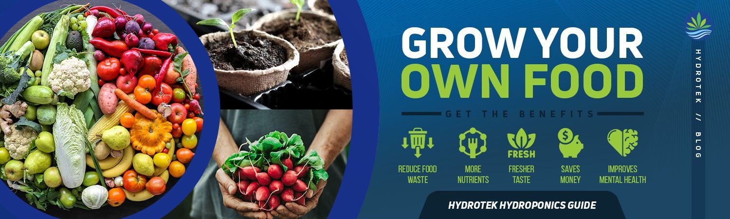 Grow Your Own Food Image