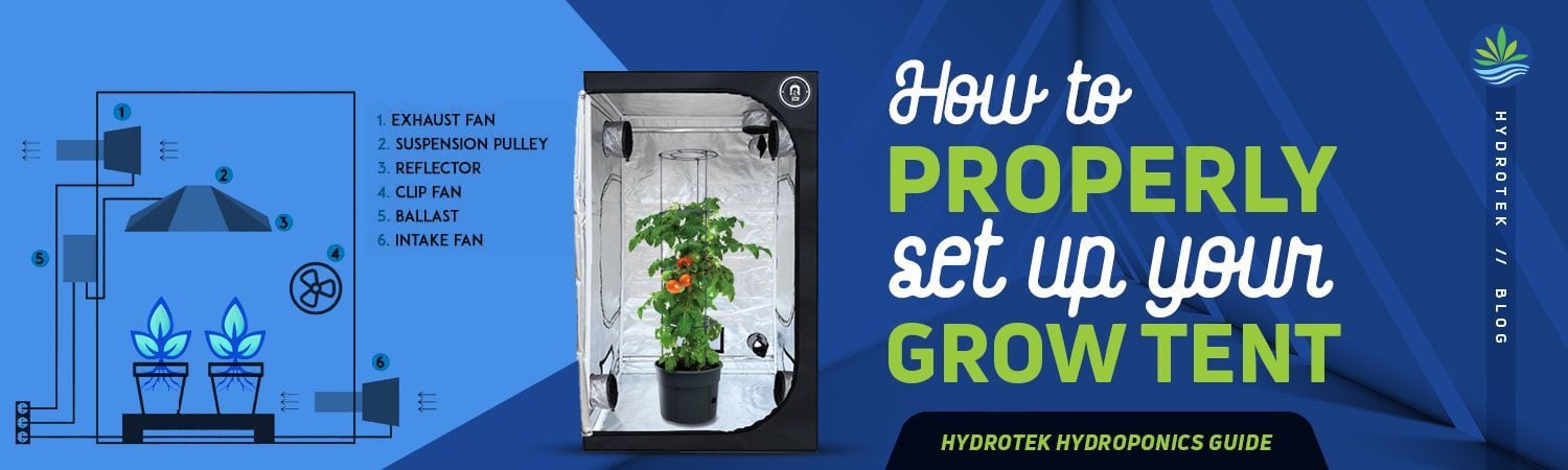 Indoor Grow Tent & Grow Room Setup Tips banner