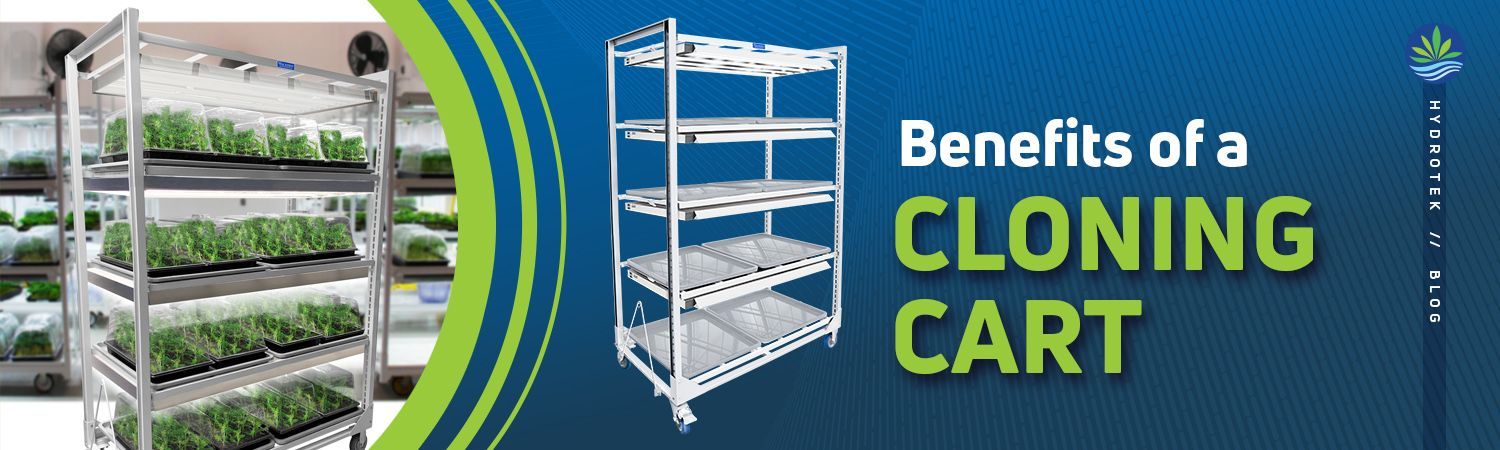 Increase Quality Control With A Cloning Cart banner