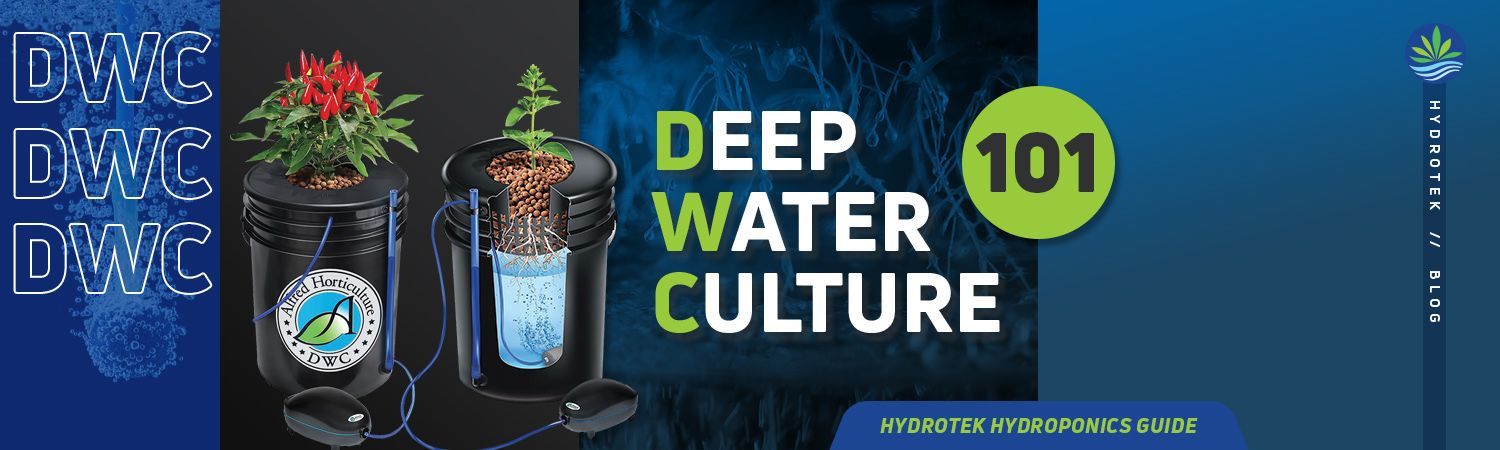 How Does Deep Water Culture Works banner