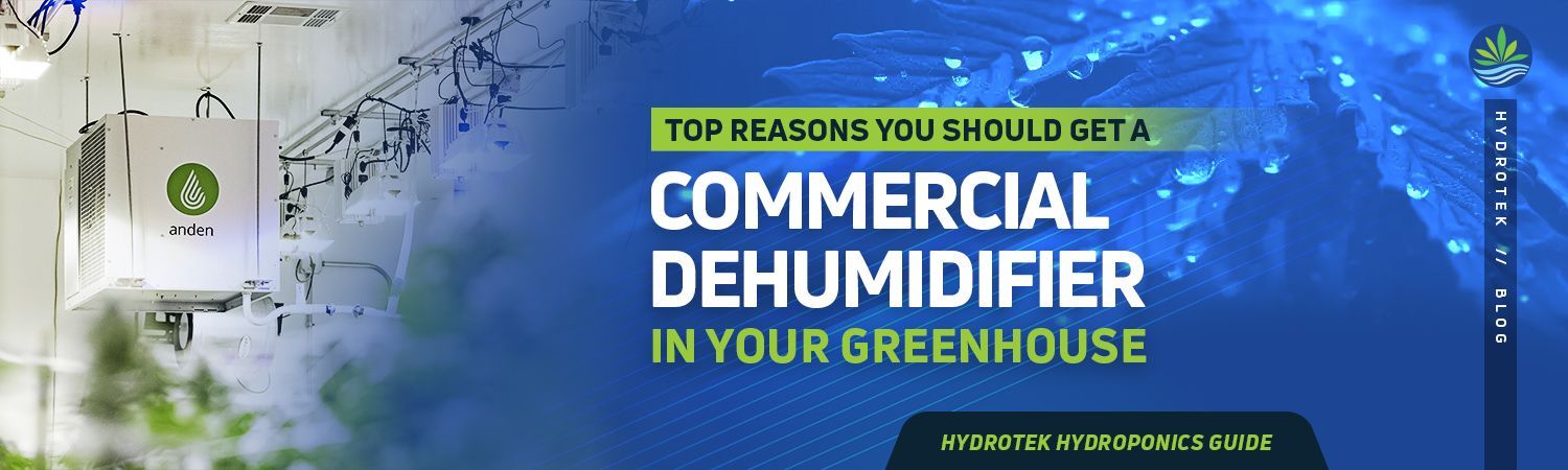 Top 7 Features of a Dehumidifier banner