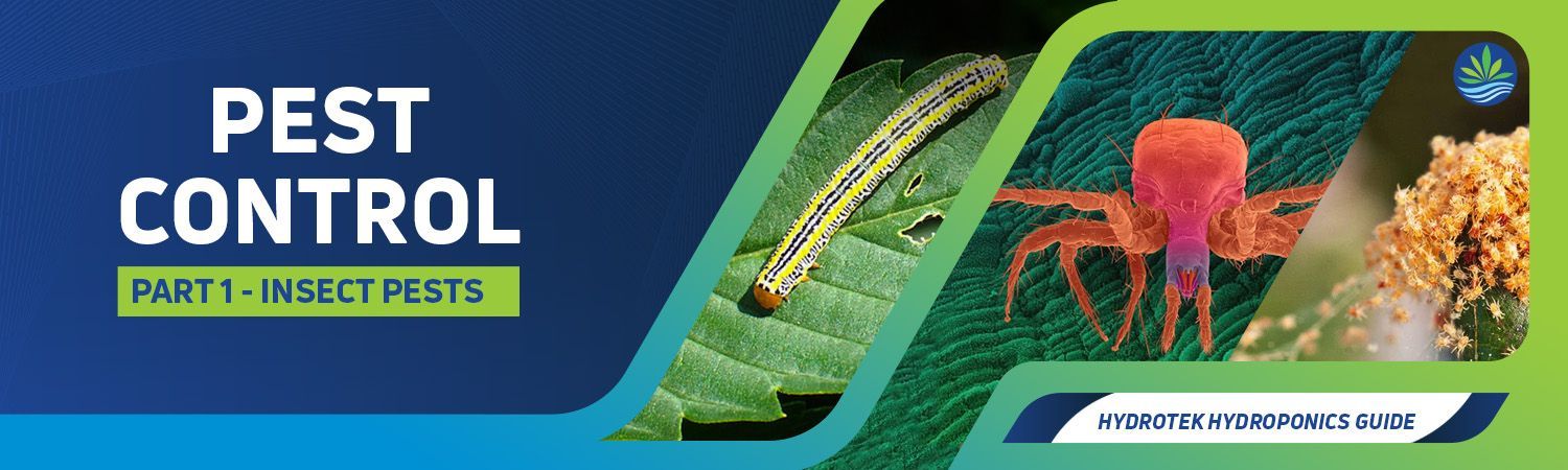 Insect Control Banner