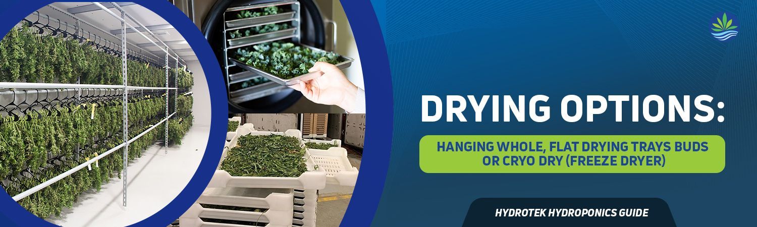 Drying Options Banner