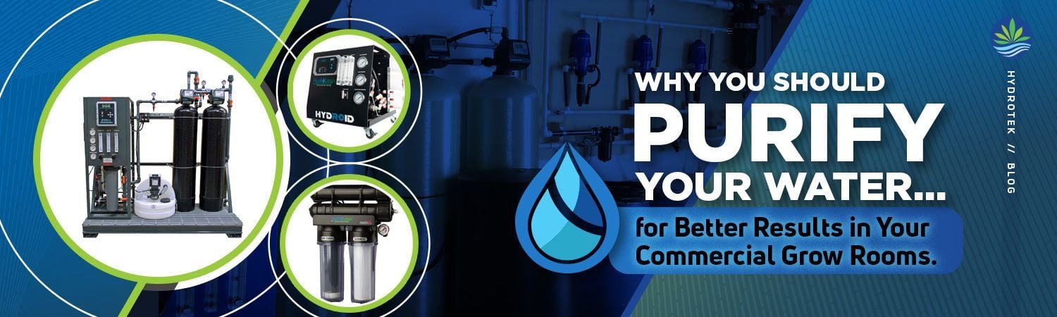 Why You Should Purify Your Water for Better Results in Your Commercial Grow Rooms