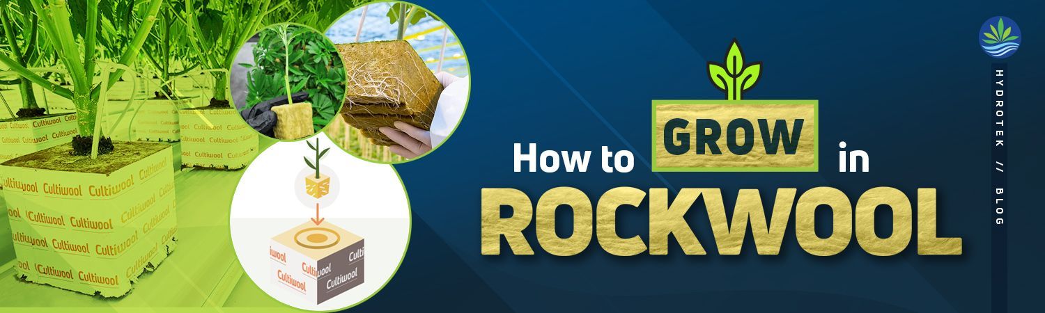 How to grow in rockwool banner