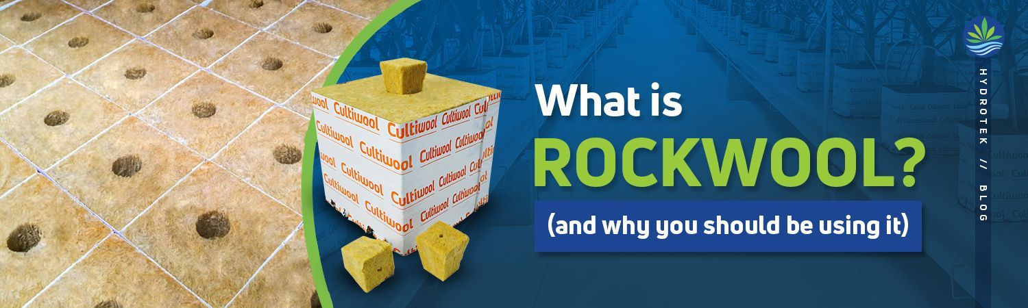 Why you Should Use Rockwool Cubes banner