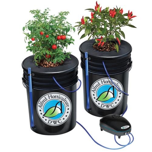 Alfred DWC 2-Plant System