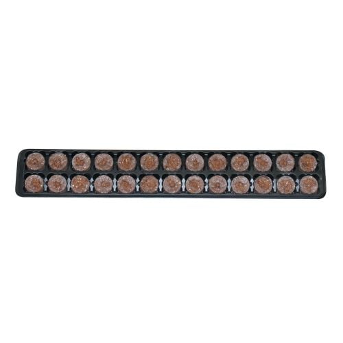 Plateau Jiffy 26 Cavités (1092/Boîte)