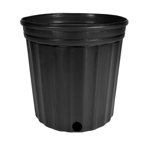 Pot 2000 (11''H x 12''D) 5Gal - 25/Bundle
