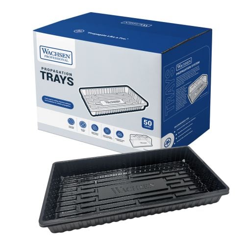 Wachsen Propagation Tray - No Holes - Black (50/Cs)