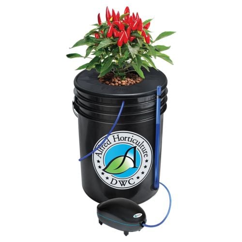 Alfred DWC 1-Plant System