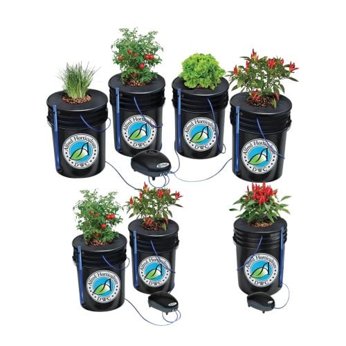 Alfred DWC System