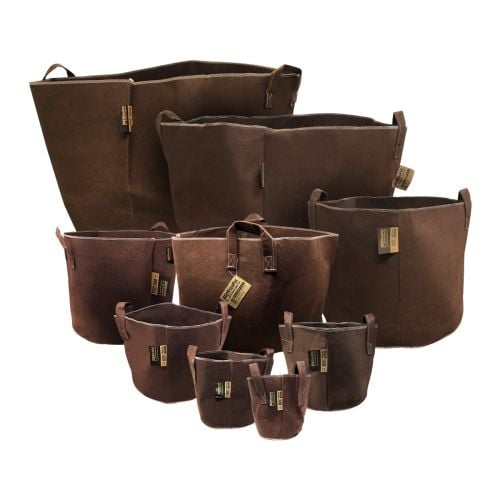 RhizoPot W/Handles