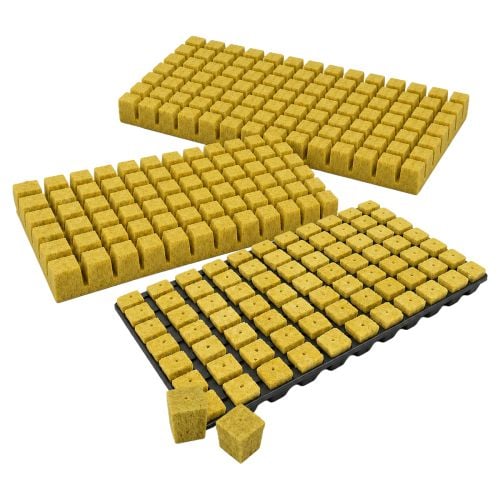 Cultiwool Starter Plug