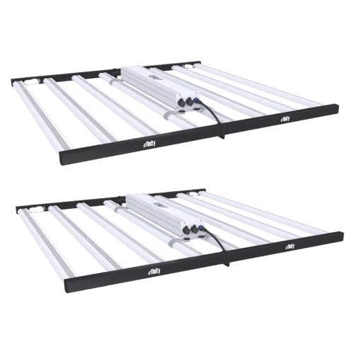 Efinity Superstar S840 Indoor LED