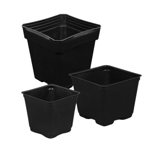 Gro Pro Square Plastic Pot Black