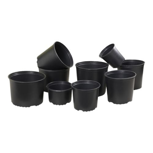 Haviland HP Pot
