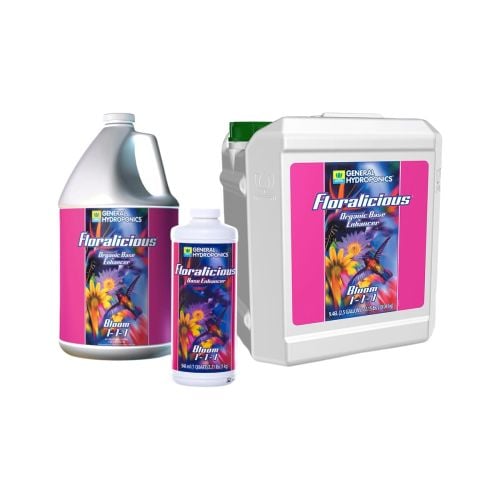 GH Floralicious Bloom