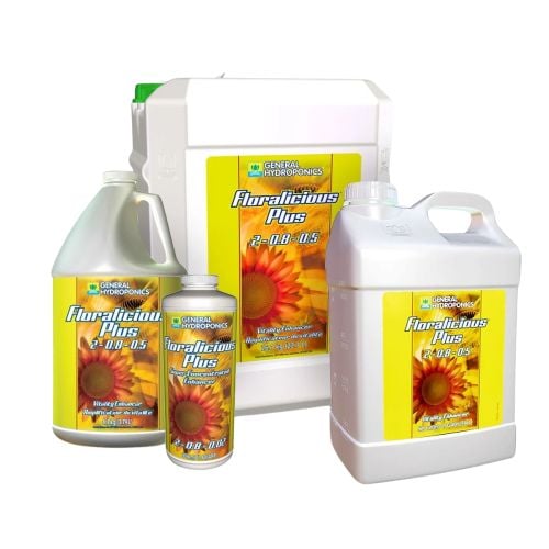 GH Floralicious Plus