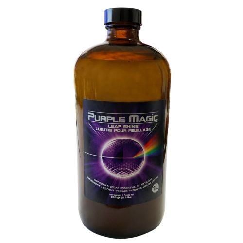 Purple Magic 1 Quart