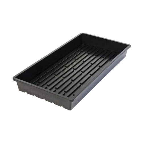 Super Sprouter Quad Thick 10 x 20 Tray - No Hole (25/Cs)