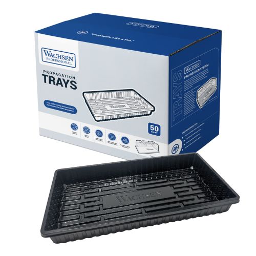 Wachsen Propagation Tray - No Holes - Black (50/Cs)