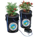 Alfred DWC 2-Plant System