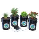 Système DWC Alfred 4 plantes