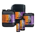 Atami B'Cuzz Root Stimulator