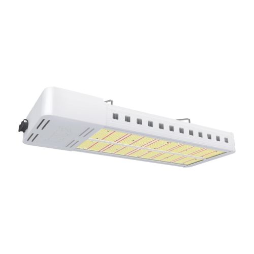 Efinity Superstar 2300 Pro 1:1 Direct Replacement Indoor LED 110-277V