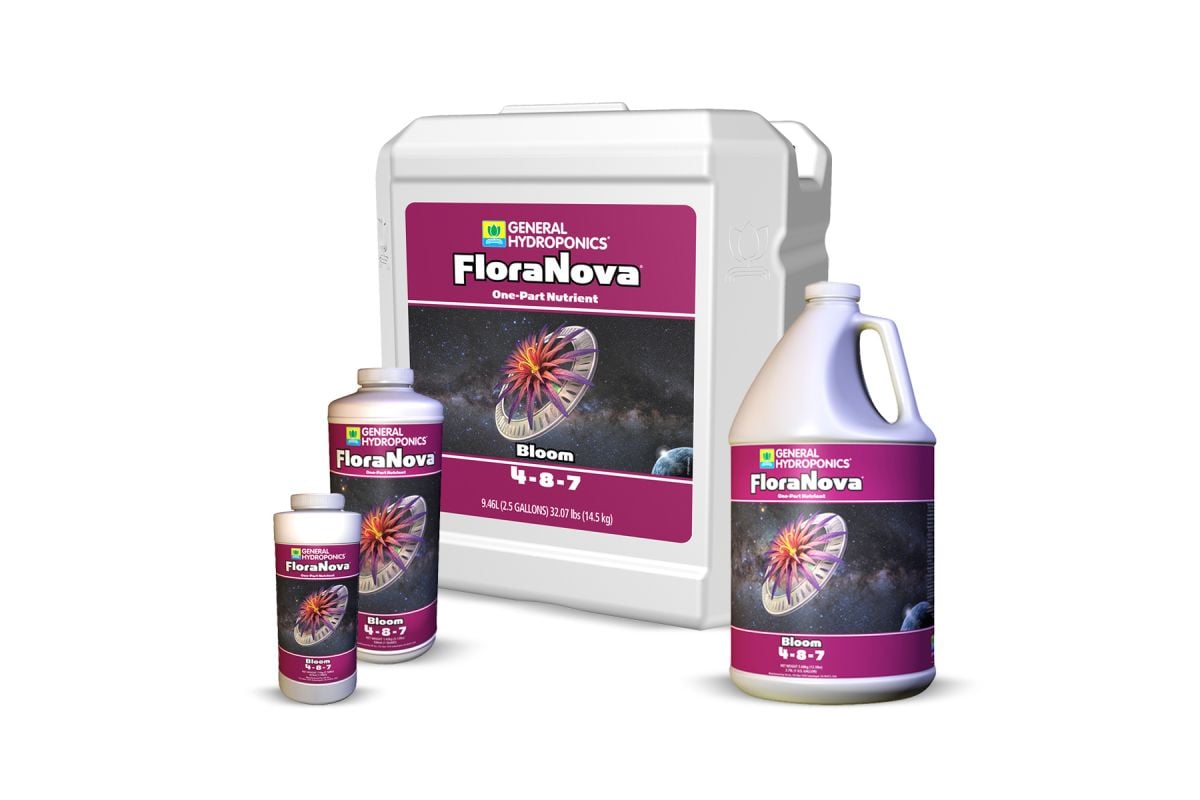 GH FloraNova Bloom
