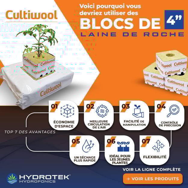 Cultiwool banniere