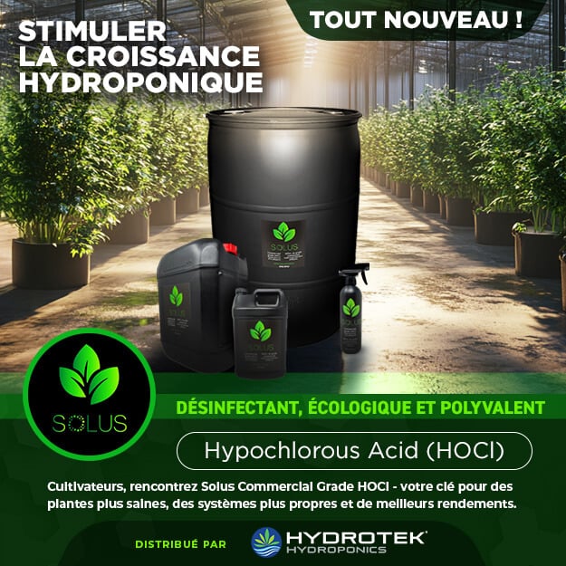 Solus - HOCL Acide hypochloreux