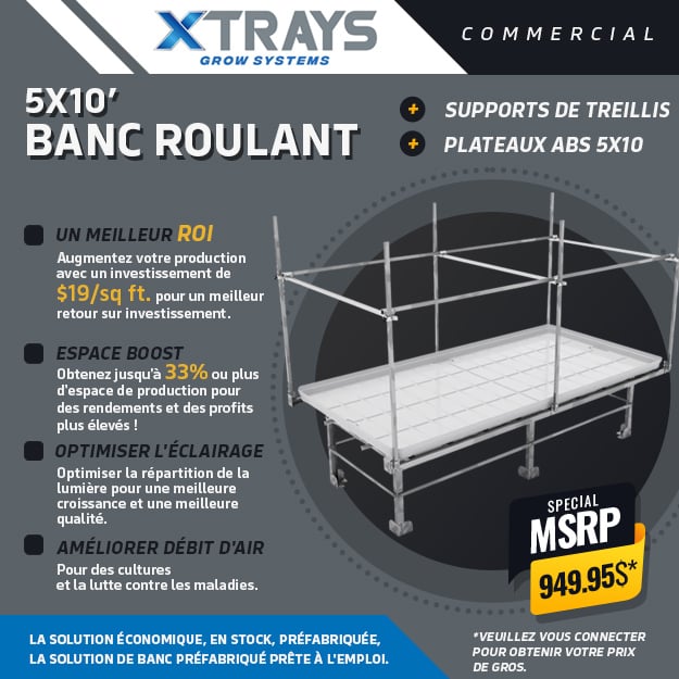 Xtrays Bundle Deal