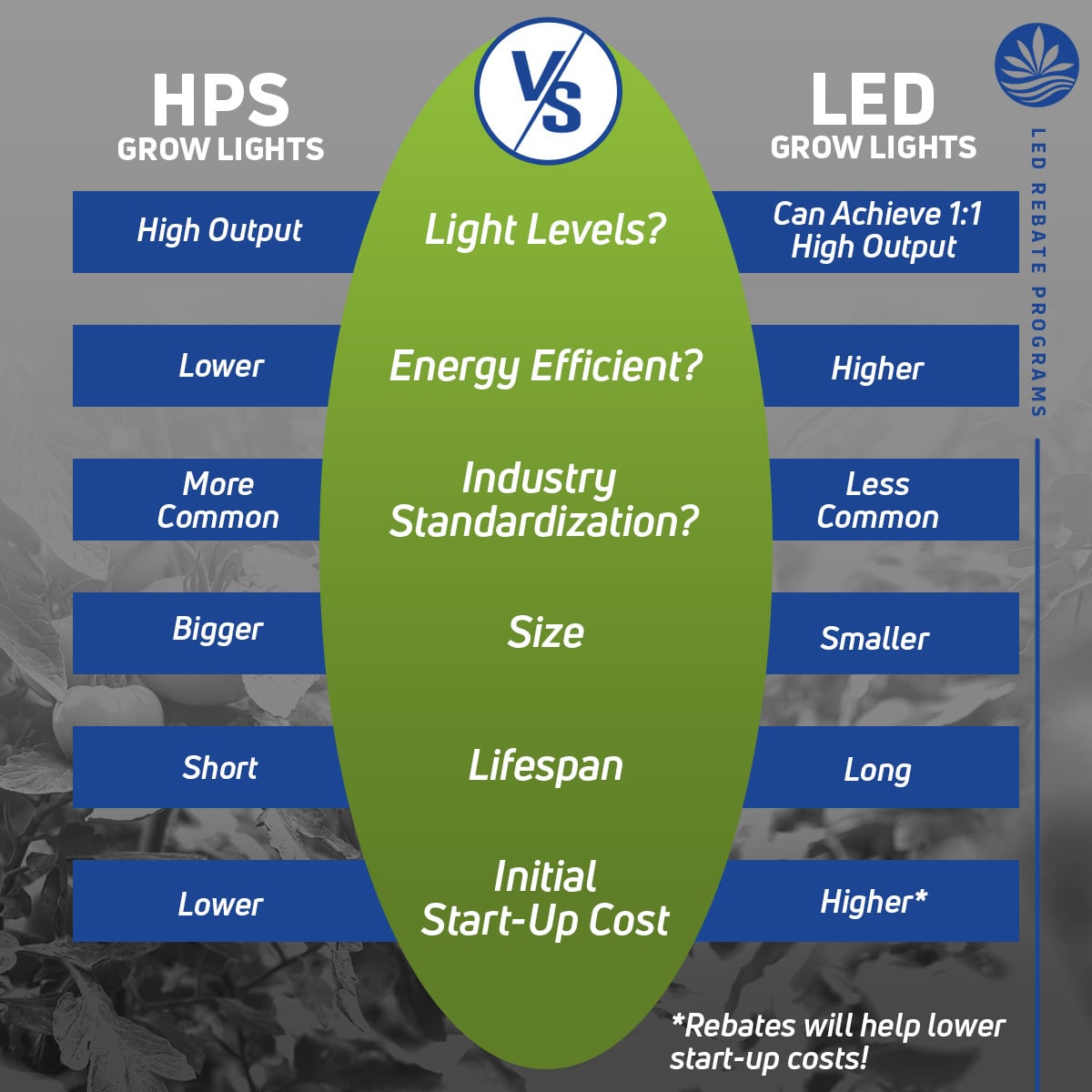 Government Rebates for Lighting