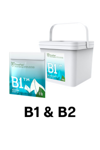 B1 & B2 Image