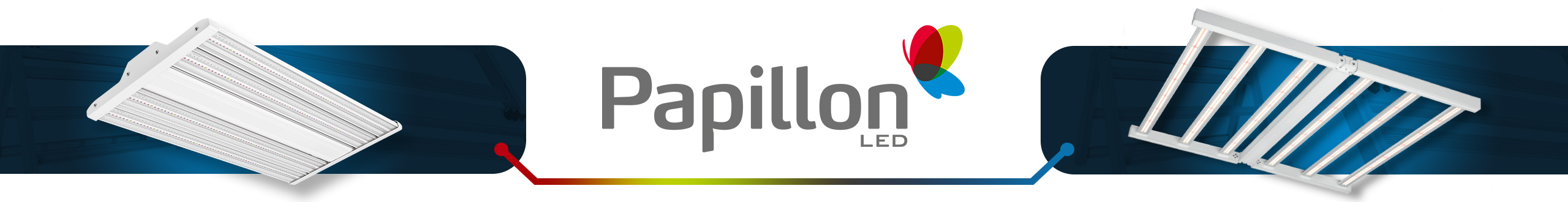 Papillon Banner