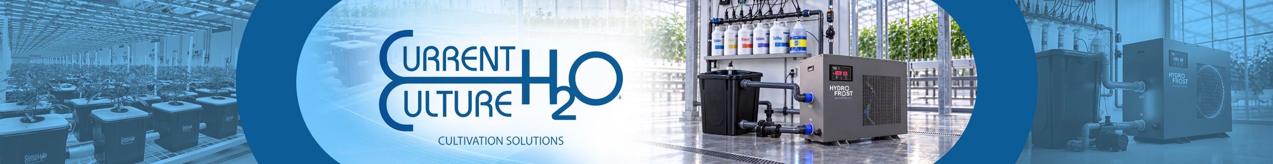 Current Culture H2O Banner