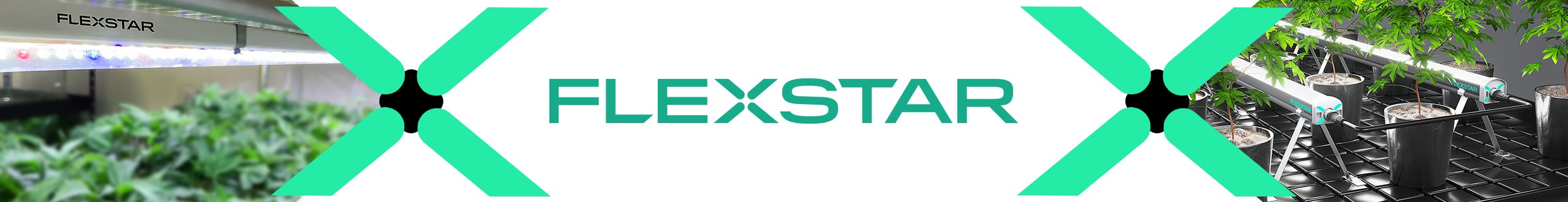 Flexstar Banner