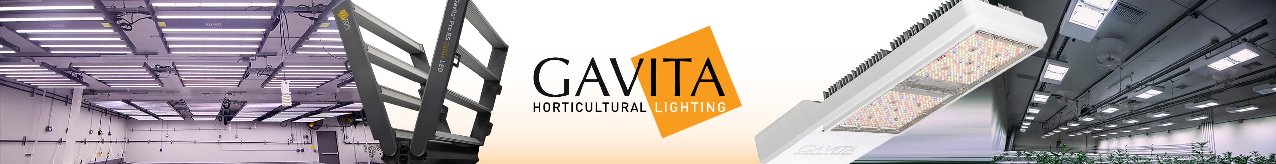 Gavita Banner