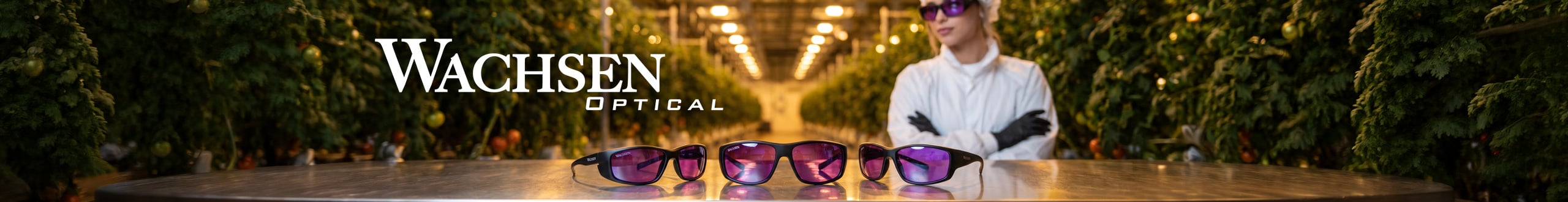 Wachsen Optical Banner