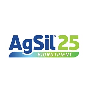 AgSil25 AgSil25 COA Picture