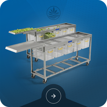 Stationary Benches Image