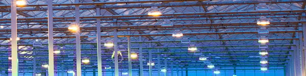 Grow Lights Picture