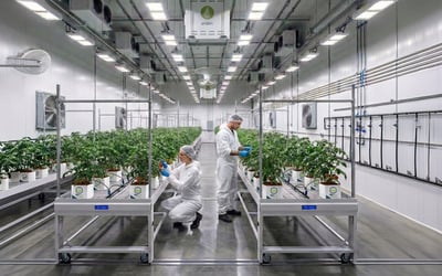 High-Performance Grow Lighting Solutions