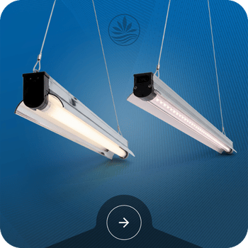 T5 Grow Lights (Fluorescent & LED) Image