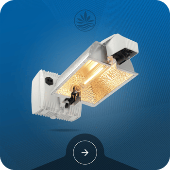 HID Grow Lights Image