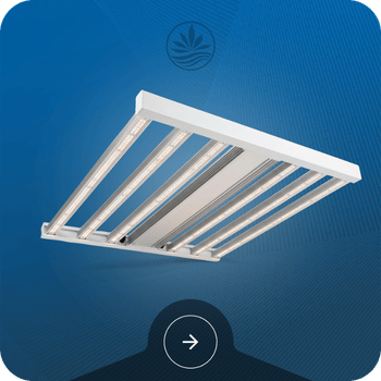 LED Grow Lights Image