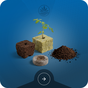 Seed Starting Medium