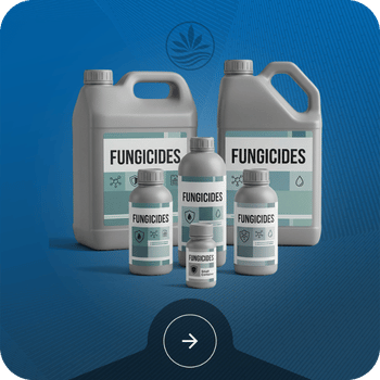 Fungicides Image